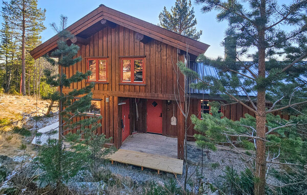 Feriehus - Tinn, Skirvedalen , Norge - N35829 82