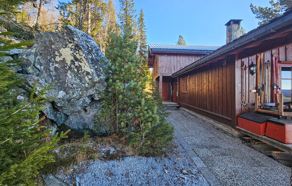 Feriehus - Tinn, Skirvedalen , Norge - N35829 101