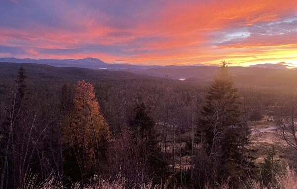 Feriehus - Tinn, Skirvedalen , Norge - N35829 203