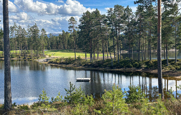 Domy wakacyjne - Vrådal Panorama , Norwegia - N35835 906