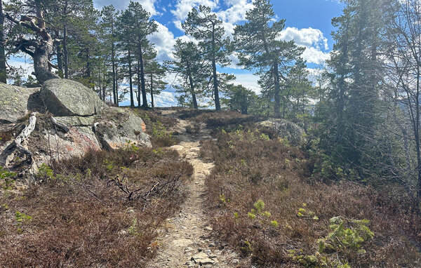 Domy wakacyjne - Vrådal Panorama , Norwegia - N35835 907