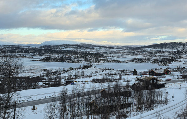 Feriehus - Rauland, Vierli , Norge - N35836 201