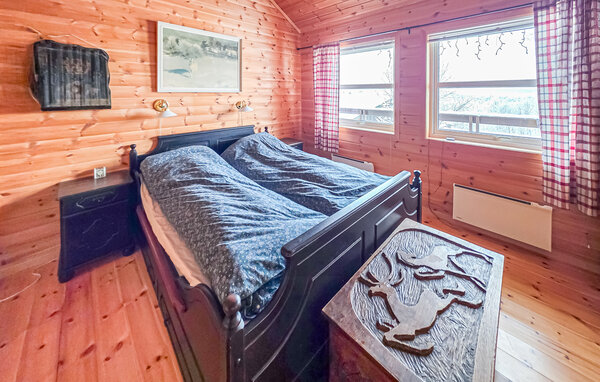 Ferienhaus - Møsvatn Fjellpark , Norwegen - N35838 602