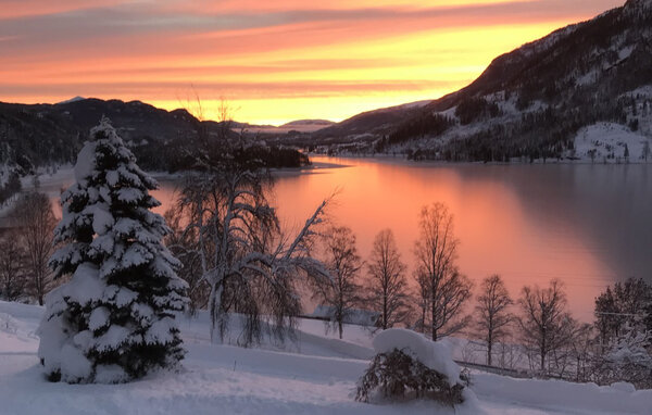 Ferienhaus - Vrådal , Norwegen - N35839 903