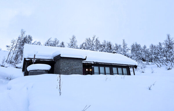 Holiday Home - Vierli , Norway - N35841 81