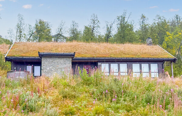 Holiday Home - Vierli , Norway - N35841 1