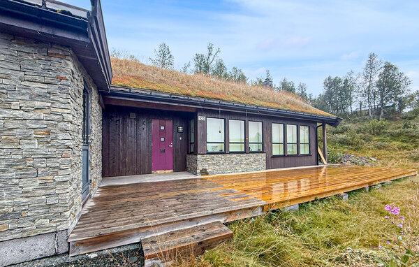 Holiday Home - Vierli , Norway - N35841 84