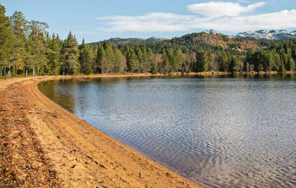 Feriehus - Holtardalen , Norge - N35842 8