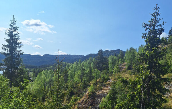 Feriehus - Seljord , Norge - N35843 901