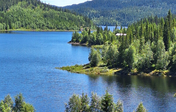 Feriehus - Seljord , Norge - N35843 8