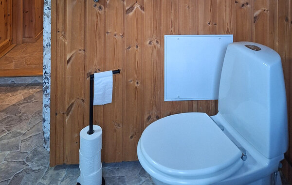 Feriehus - Seljord , Norge - N35843 703