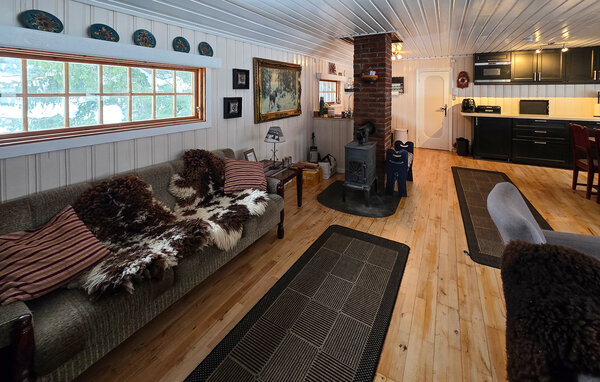 Feriehus - Seljord , Norge - N35843 2