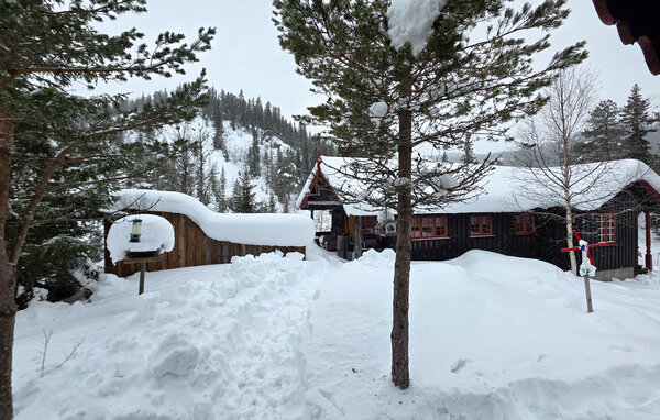 Feriehus - Seljord , Norge - N35843 81