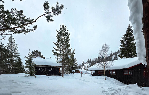 Feriehus - Seljord , Norge - N35843 1