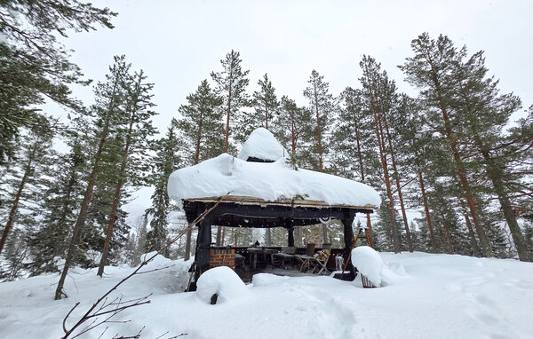 Feriehus - Seljord , Norge - N35843 84