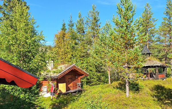 Feriehus - Seljord , Norge - N35843 102