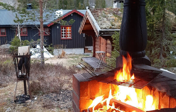 Feriehus - Seljord , Norge - N35843 4