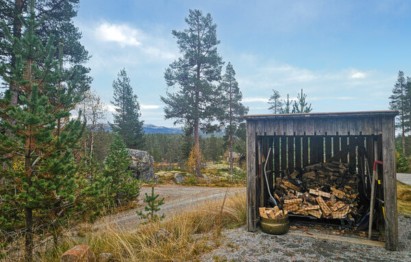 Feriehus - Skirvedalen , Norge - N35844 106