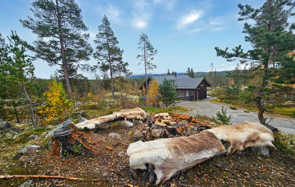 Feriehus - Skirvedalen , Norge - N35844 8