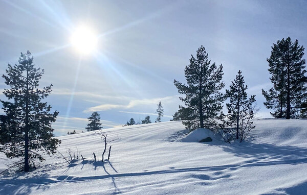 Ferienwohnung - Vrådal , Norwegen - N35846 901