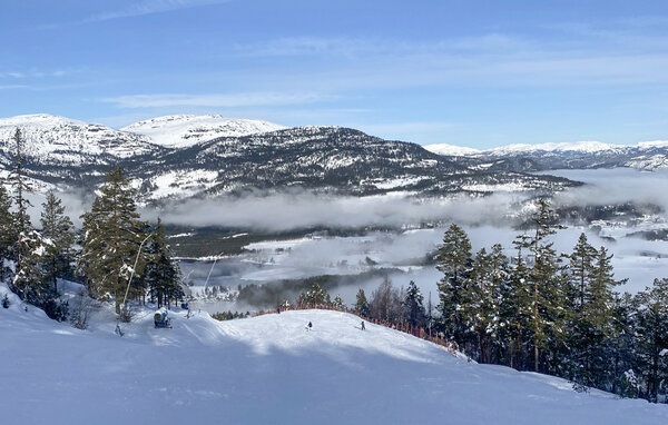 Ferienwohnung - Vrådal , Norwegen - N35846 902
