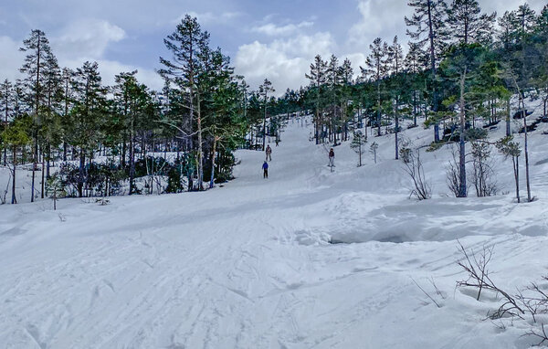 Ferienwohnung - Vrådal , Norwegen - N35846 903