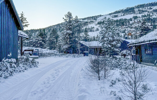 Ferienwohnung - Vrådal , Norwegen - N35846 904