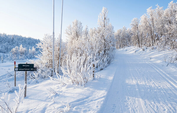 Ferieleilighet - Rjukan / Skinnarbu , Norge - N35849 104