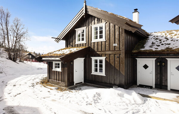 Feriehus - Rauland, Holtardalen , Norge - N35850 82