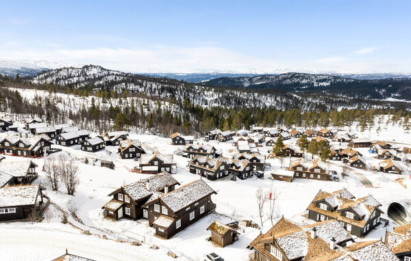 Feriehus - Rauland, Holtardalen , Norge - N35850 83