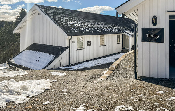 Ferieleilighet - Vinje i Telemark , Norge - N35851 83