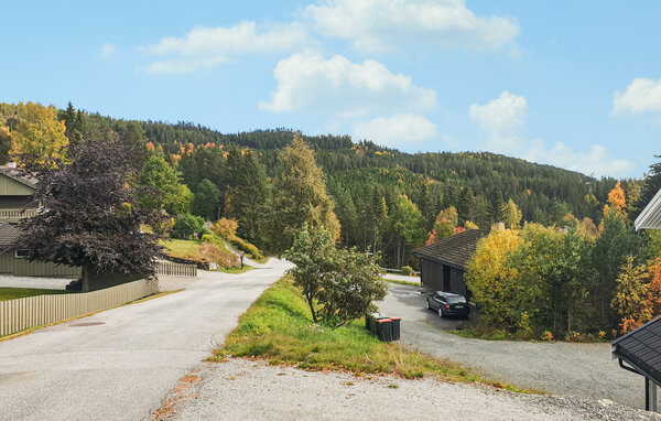 Ferieleilighet - Vinje i Telemark , Norge - N35851 201