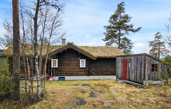 Feriehus - Rauland , Norge - N35853 81