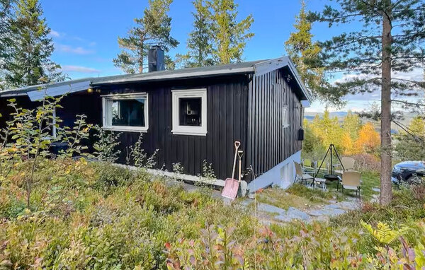 Kuća-za-odmor - LIFJELL , Norveska - N35854 81
