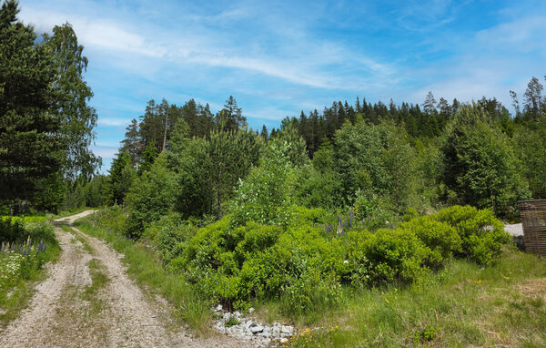 Feriehus - Treungen , Norge - N35857 901