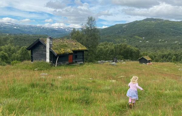 Feriehus - Haukelifjell , Norge - N35859 901