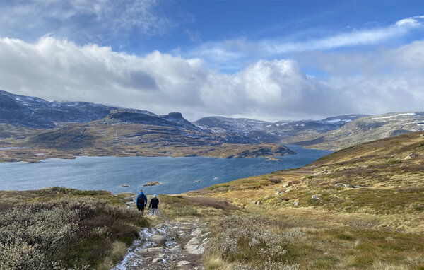 Feriehus - Haukelifjell , Norge - N35859 902