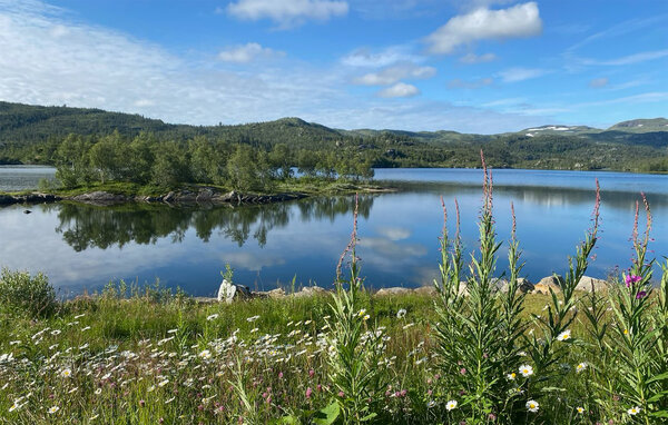 Feriehus - Haukelifjell , Norge - N35859 903