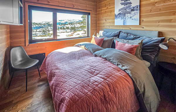 Feriehus - Haukelifjell , Norge - N35859 603