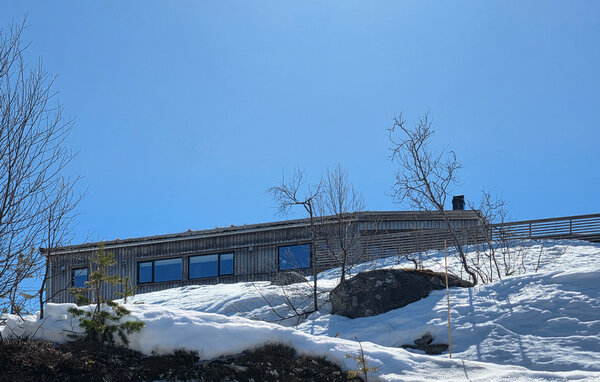 Feriehus - Haukelifjell , Norge - N35859 82