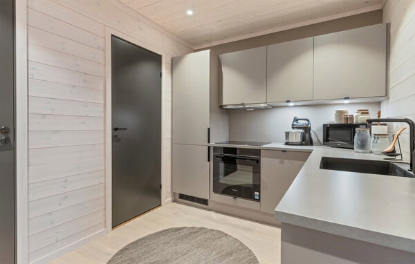Apartament - Haukelifjell , Norwegia - N35860 401