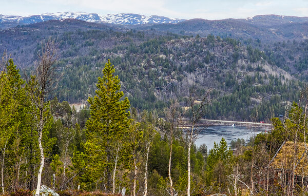 Domy wakacyjne - Haukelifjell/Edland , Norwegia - N35862 7