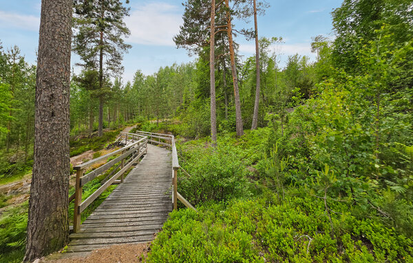 Feriehus - Vrådal , Norge - N35865 8