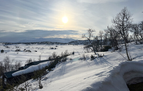 Domy wakacyjne - Rauland, Vierli , Norwegia - N35867 902