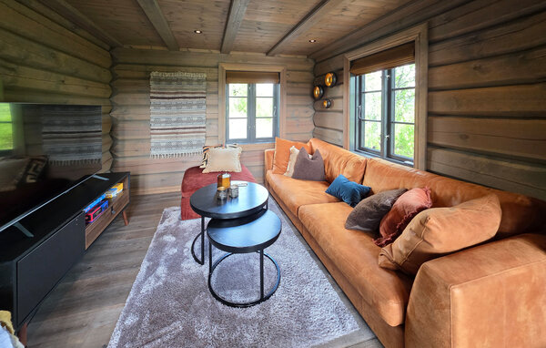 Feriehus - Rauland, Vierli , Norge - N35867 6