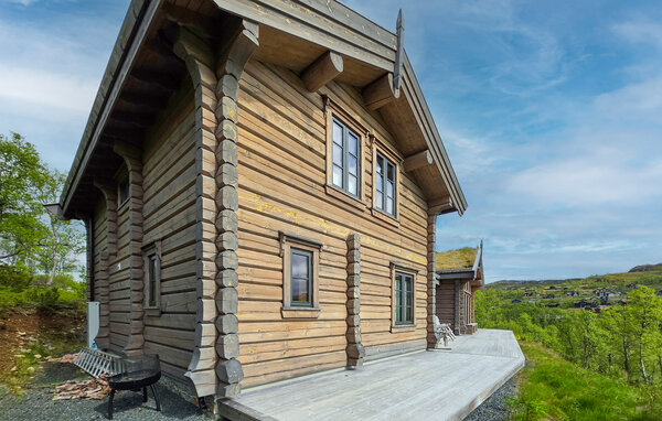 Feriehus - Rauland, Vierli , Norge - N35867 2
