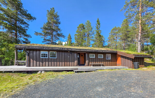 Feriehus - Rauland , Norge - N35869 81