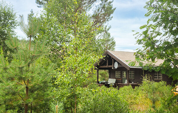 Domy wakacyjne - Telemark, Havrefjell , Norwegia - N35870 82