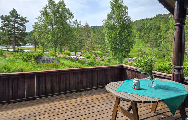 Domy wakacyjne - Telemark, Havrefjell , Norwegia - N35870 8