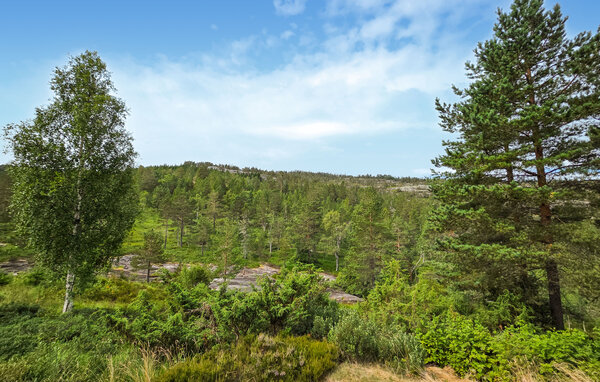 Domy wakacyjne - Telemark, Havrefjell , Norwegia - N35870 9